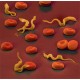 Antiparasitic products, insecticides and repellents